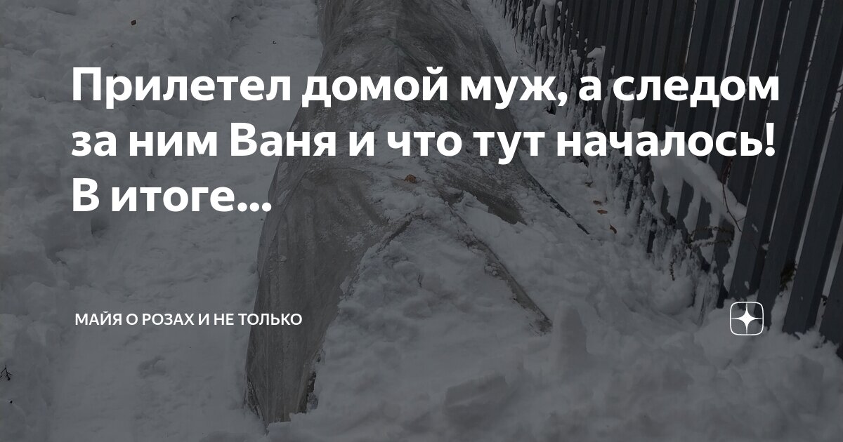 Следом за ним в комнате появляется жена пожилая ничем не примечательная женщина