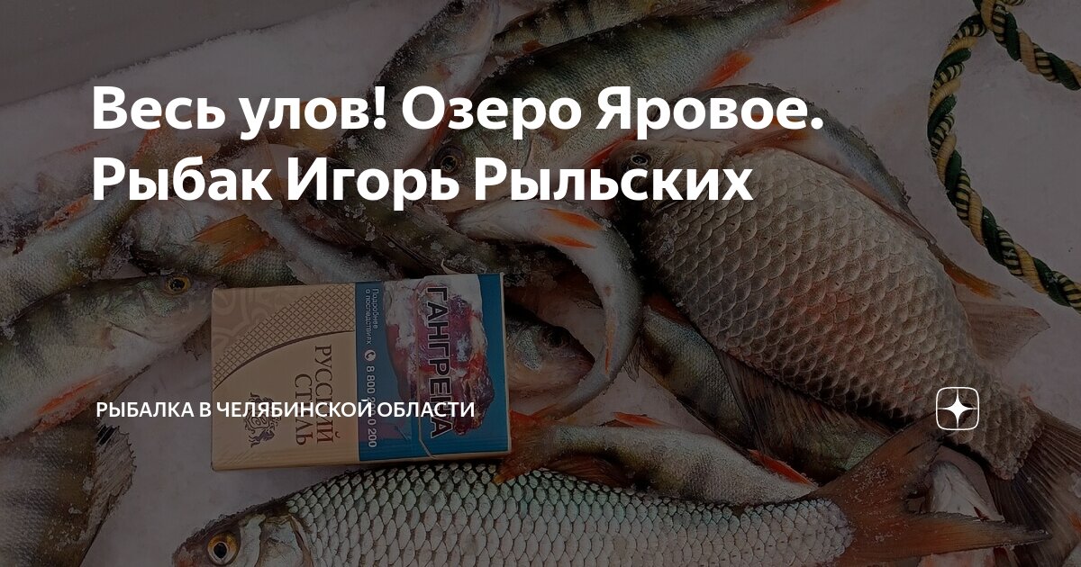 Яровое рыбалка. Яровое рыбалка. Яровое рыбалка. Яровое озеро рыбалка. Яровое рыбалка.