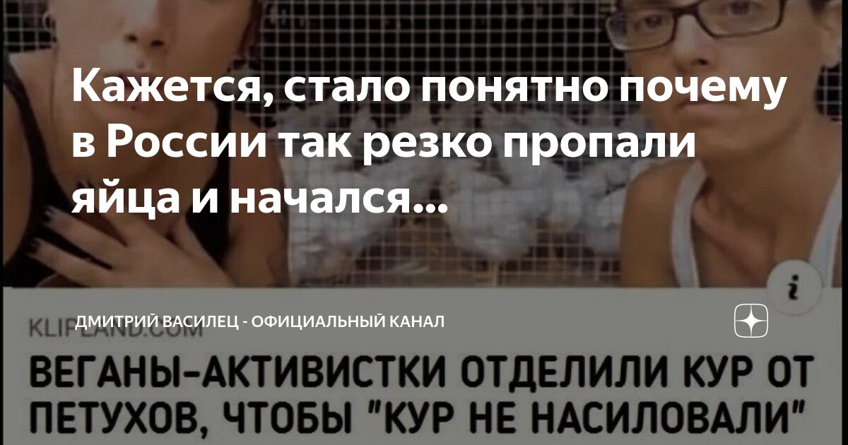 Кажется, стало понятно почему в России так резко пропали яйца и начался ...