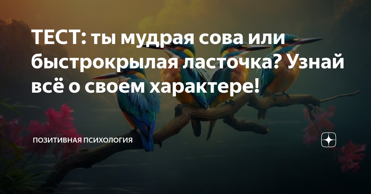 Пин от пользователя Diana на доске ПСИХОЛОГИЯ | Самопомощь, Психология ...