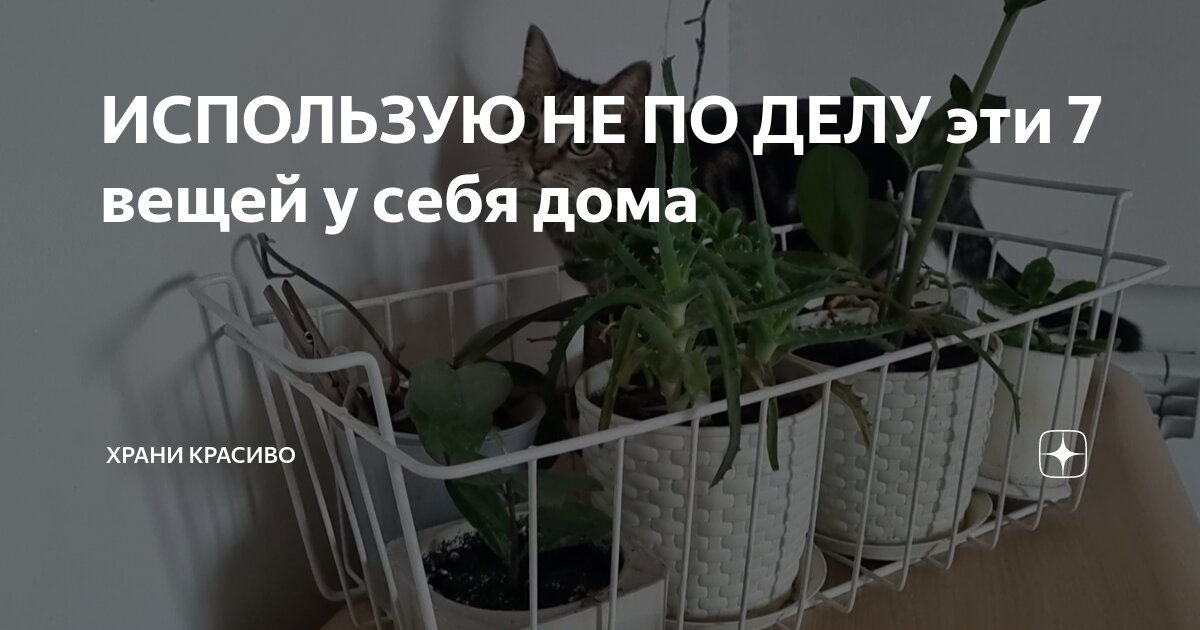 ИСПОЛЬЗУЮ НЕ ПО ДЕЛУ эти 7 вещей у себя дома | Храни Красиво | Дзен