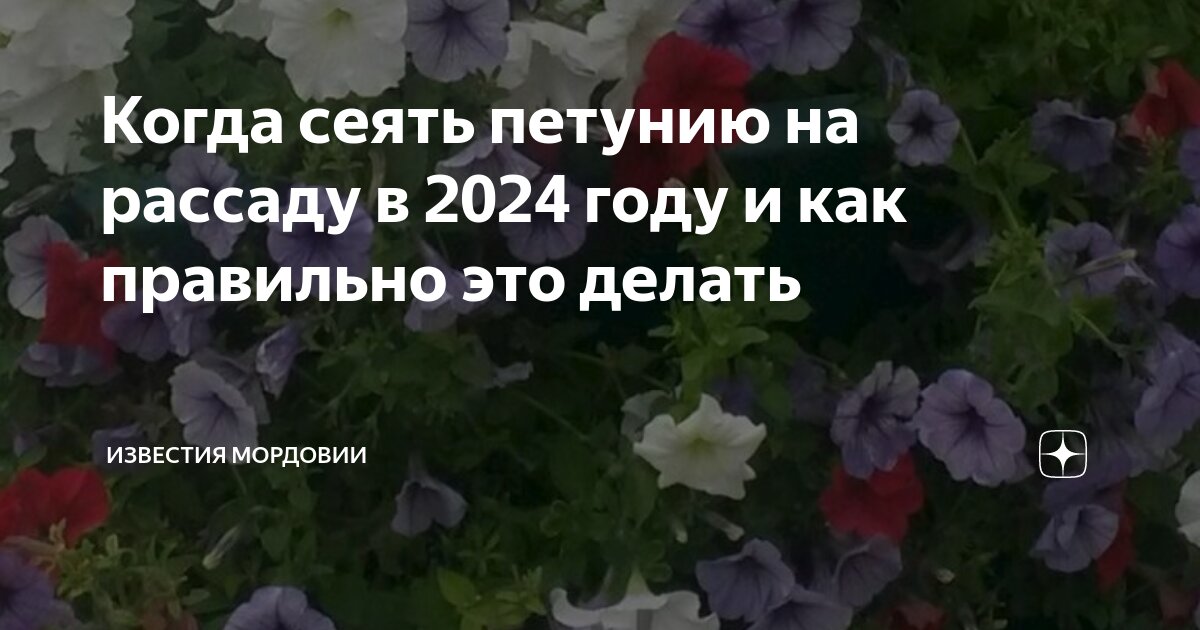 когда сеять петунию на рассаду в подмосковье