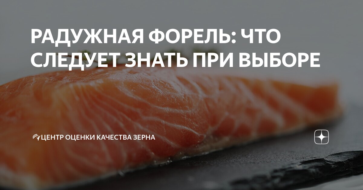 РАДУЖНАЯ ФОРЕЛЬ: ЧТО СЛЕДУЕТ ЗНАТЬ ПРИ ВЫБОРЕ | 🌾ФГБУ «Федеральный ...