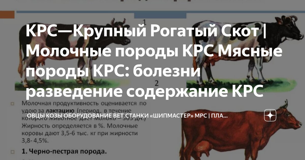 Об основах пастбищного кормления и содержания крупного рогатого скота