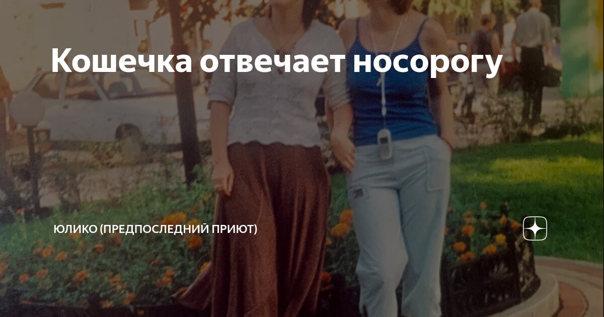 Кошечка отвечает носорогу | ЮлиКо (Предпоследний приют) | Дзен