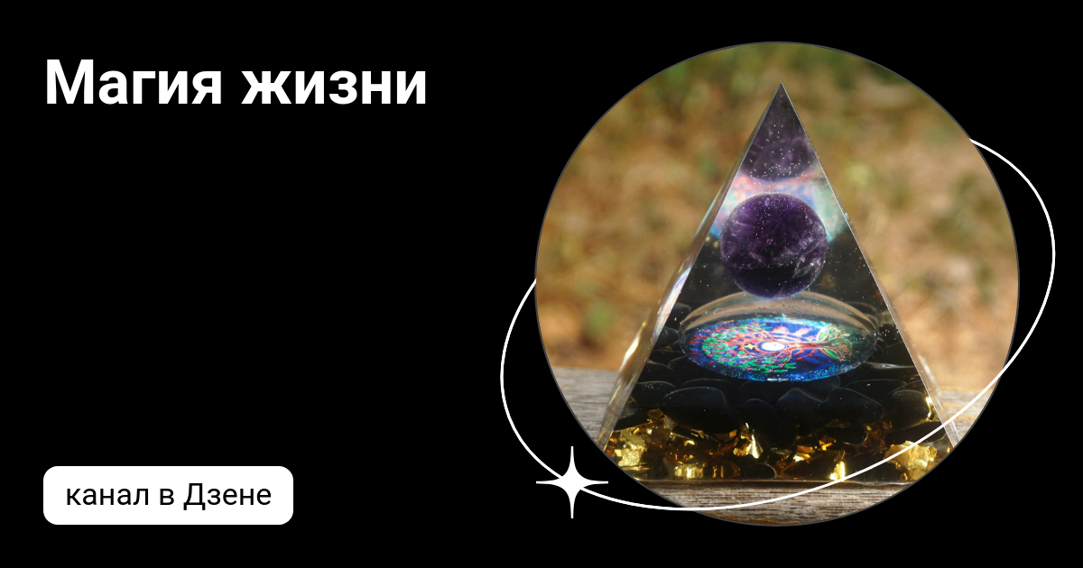 Магия жизни | Дзен