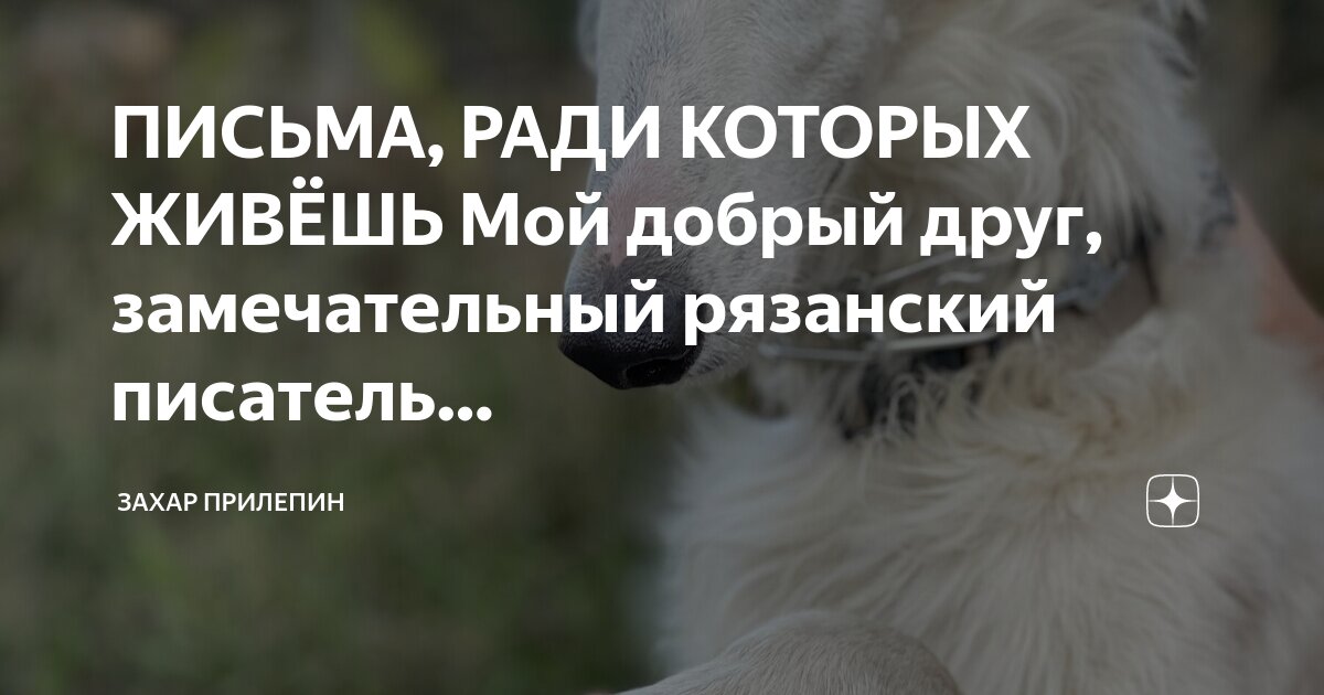 слова песни здравствуй мой друг как ты живёшь старина