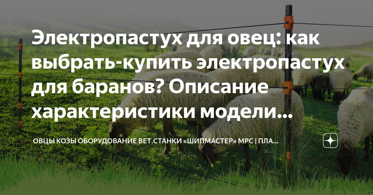 Критерии выбора электропастуха