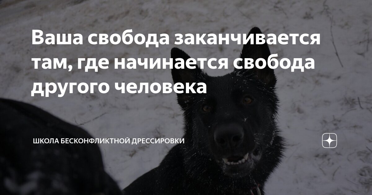 Ваша свобода заканчивается там, где начинается свобода другого человека ...