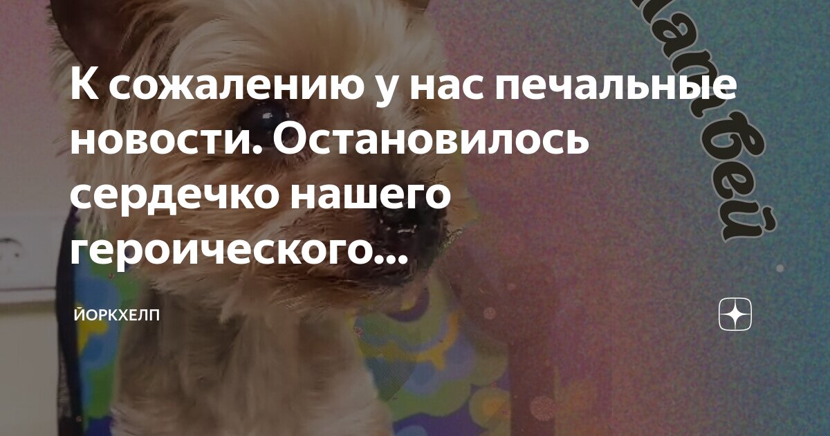 К сожалению у нас печальные новости. Остановилось сердечко нашего ...