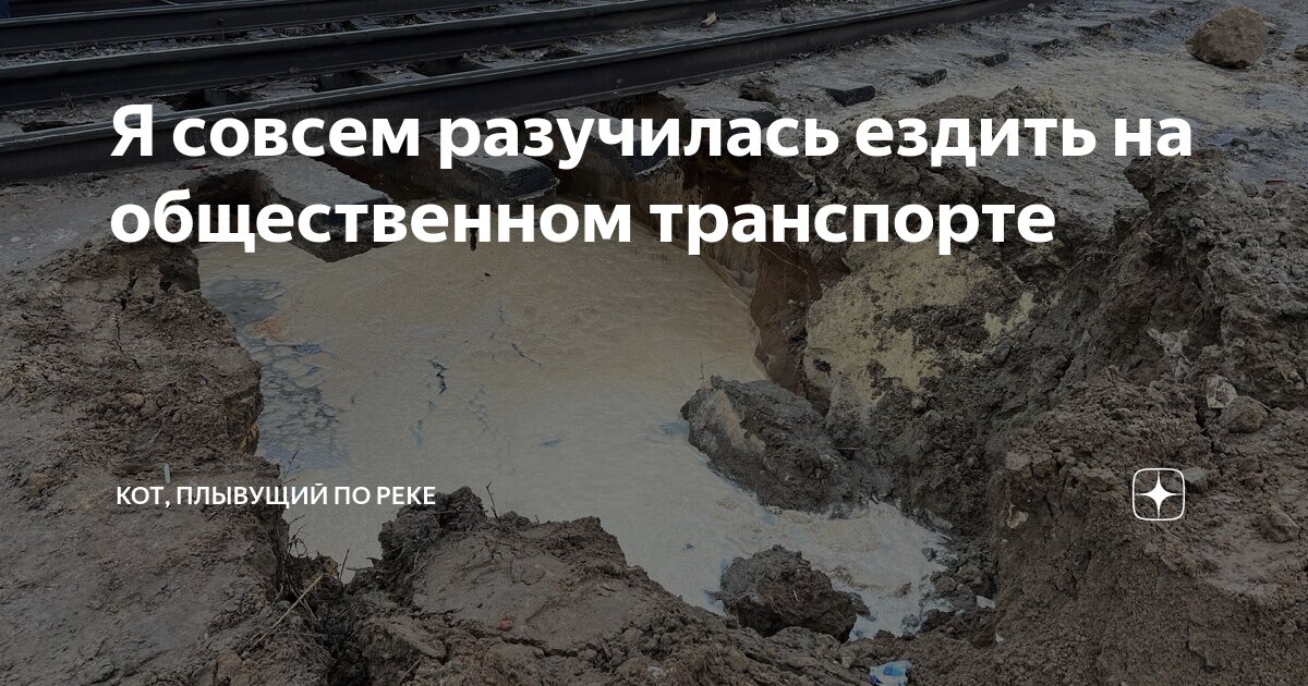 Я совсем разучилась ездить на общественном транспорте | Кот, плывущий ...