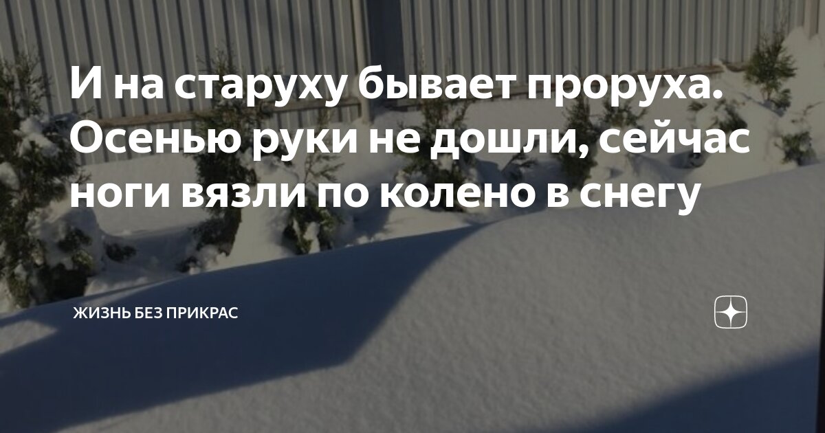 И на старуху бывает проруха. Осенью руки не дошли, сейчас ноги вязли по ...