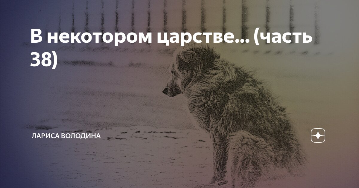 Социопат эстетика. Володина рассказ на дзен. Мама мамочка рассказ на дзен. Володина рассказ на дзен. Володина рассказ на дзен.