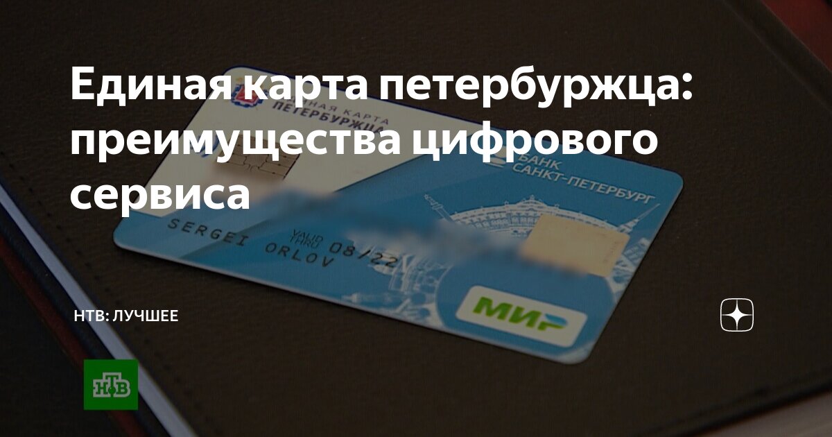 Центр Информационного Сопровождения, IT company, Saint Petersburg, Dibunovskaya 