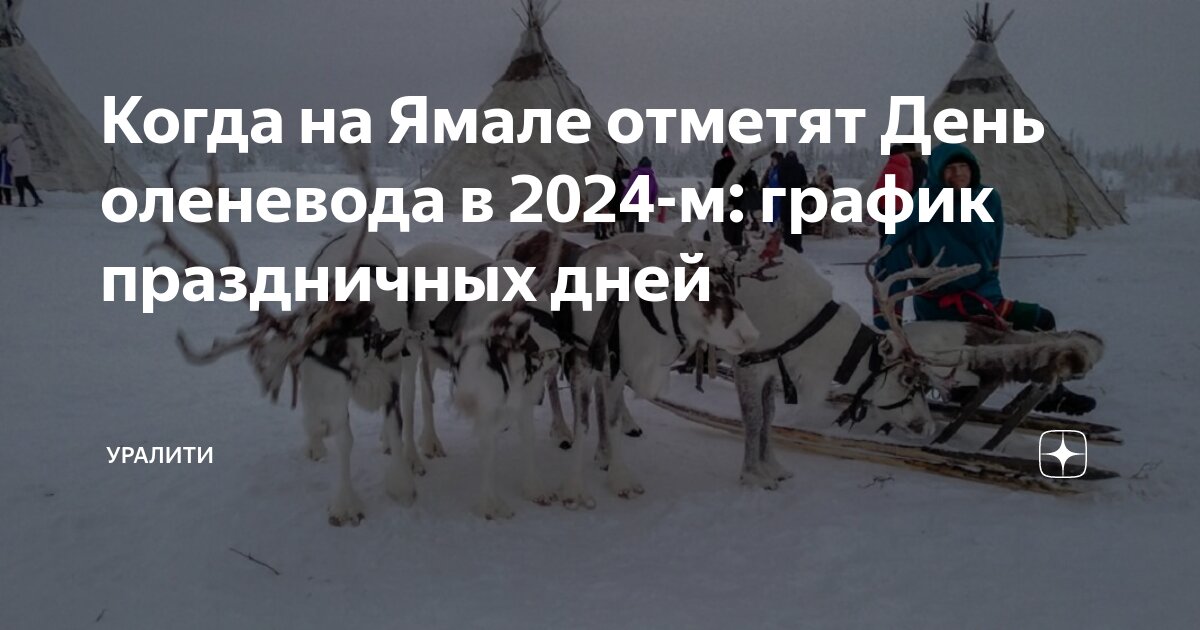 день оленевода салехард 2024 программа