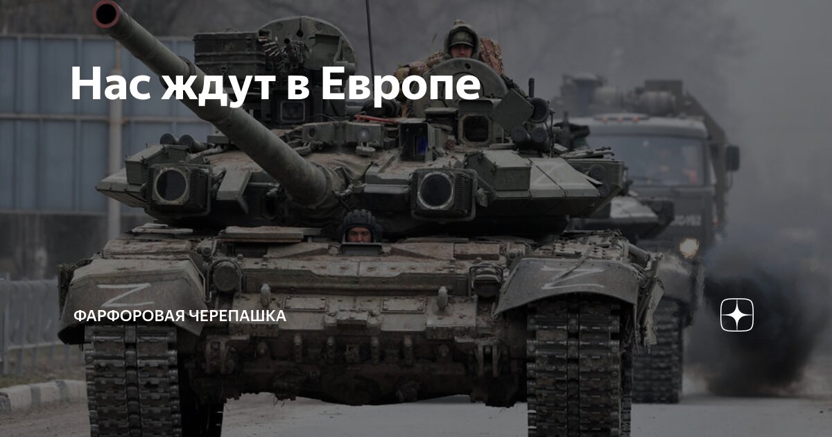 Нас ждут в Европе | Фарфоровая черепашка | Дзен