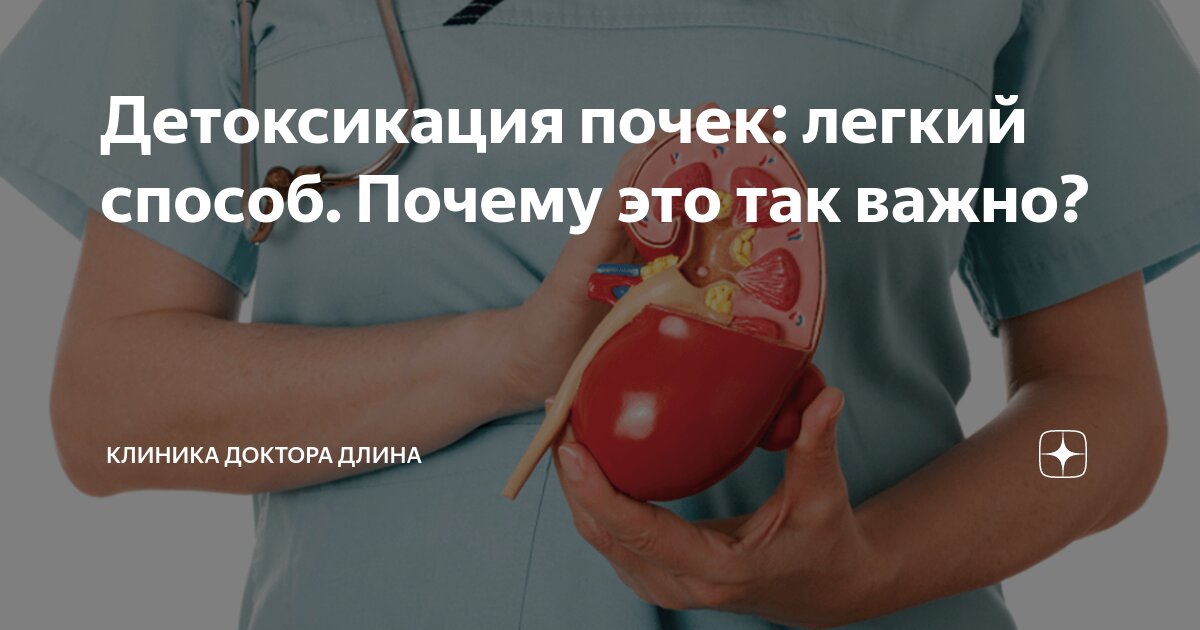 Конкременты в почках солевые. Соленые почки. Мочекаменная болезнь (urolithiasis). Конкременты в почках солевые. Почечные лоханки, жидкость.