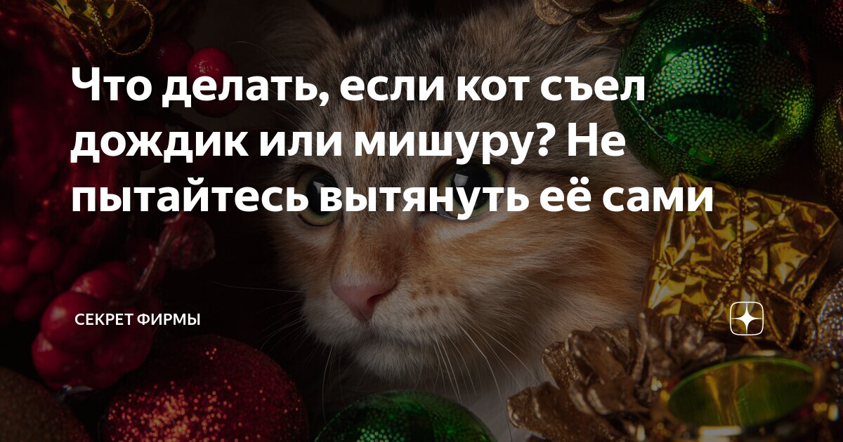 Что делать, если кот съел дождик или мишуру? Не пытайтесь вытянуть её ...