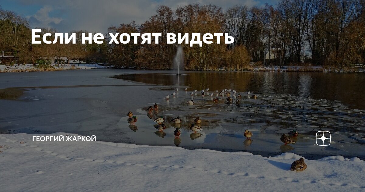 Если не хотят видеть | Георгий Жаркой | Дзен