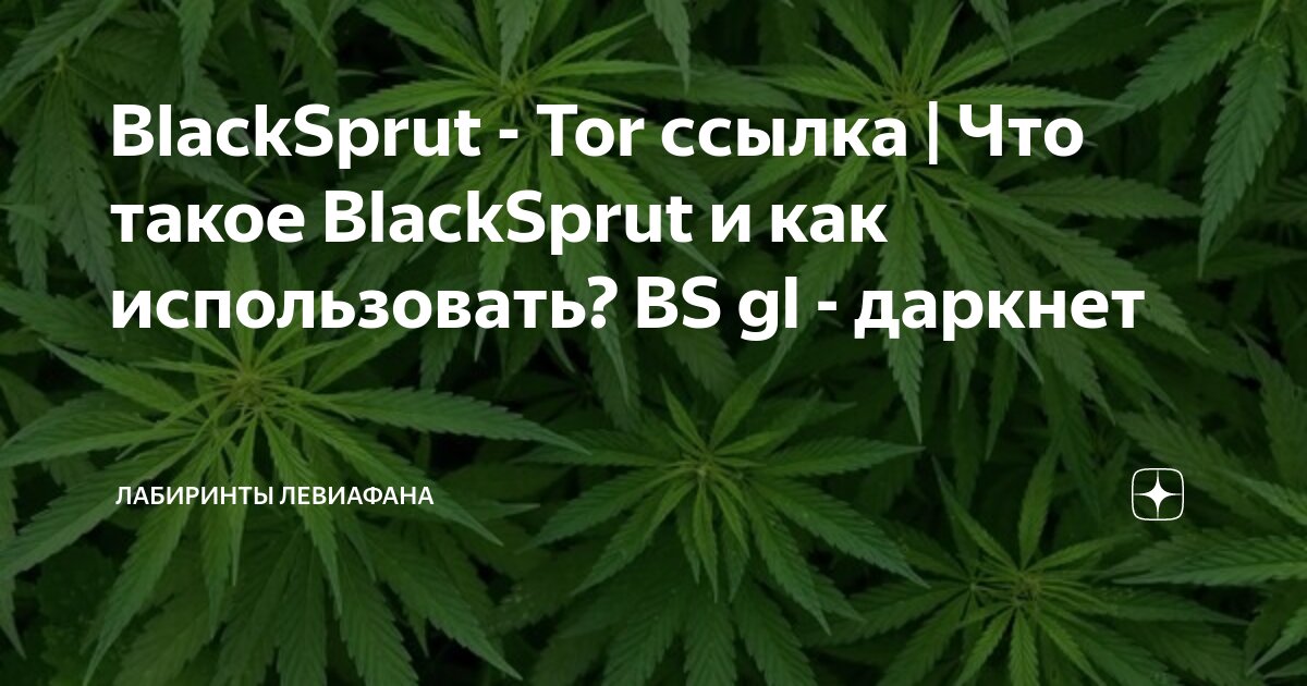 Спрут телеграм | BlackSprut