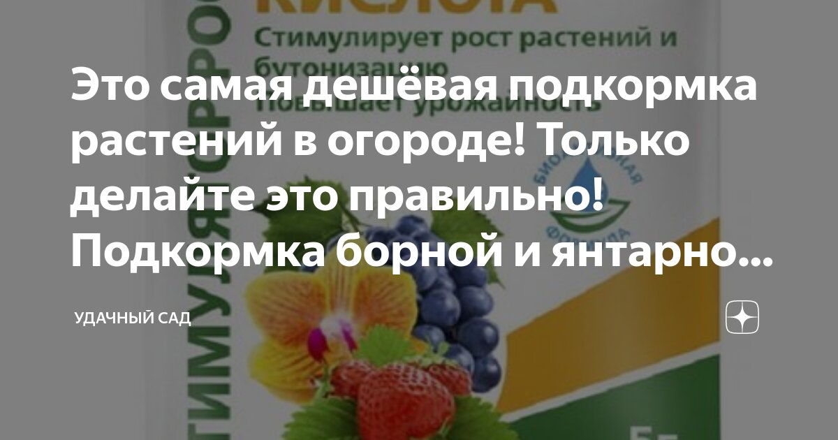 Это самая дешёвая подкормка растений в огороде! Только делайте это ...