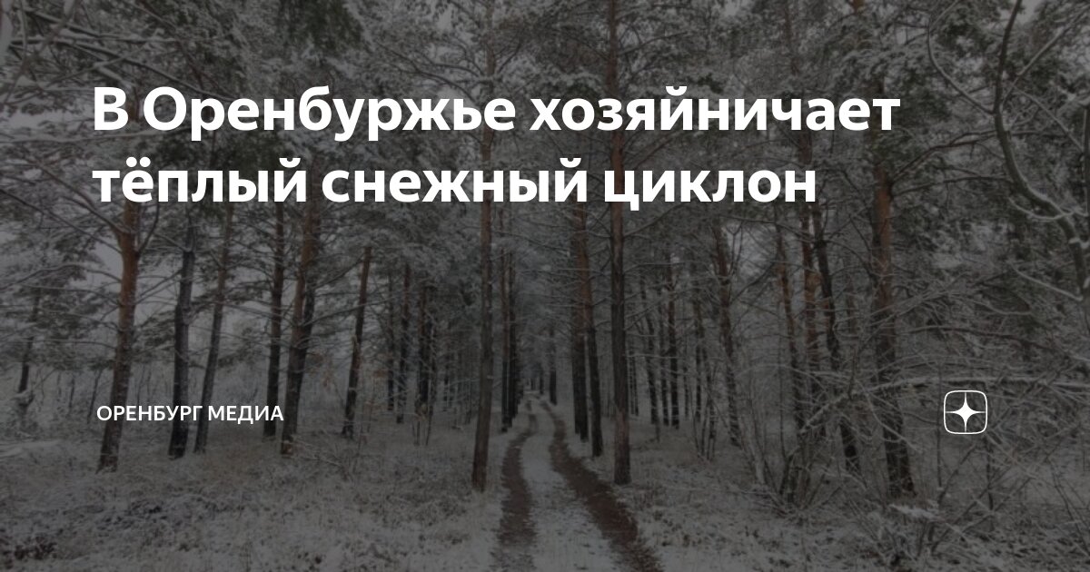 В Оренбуржье хозяйничает тёплый снежный циклон | Оренбург Медиа | Дзен