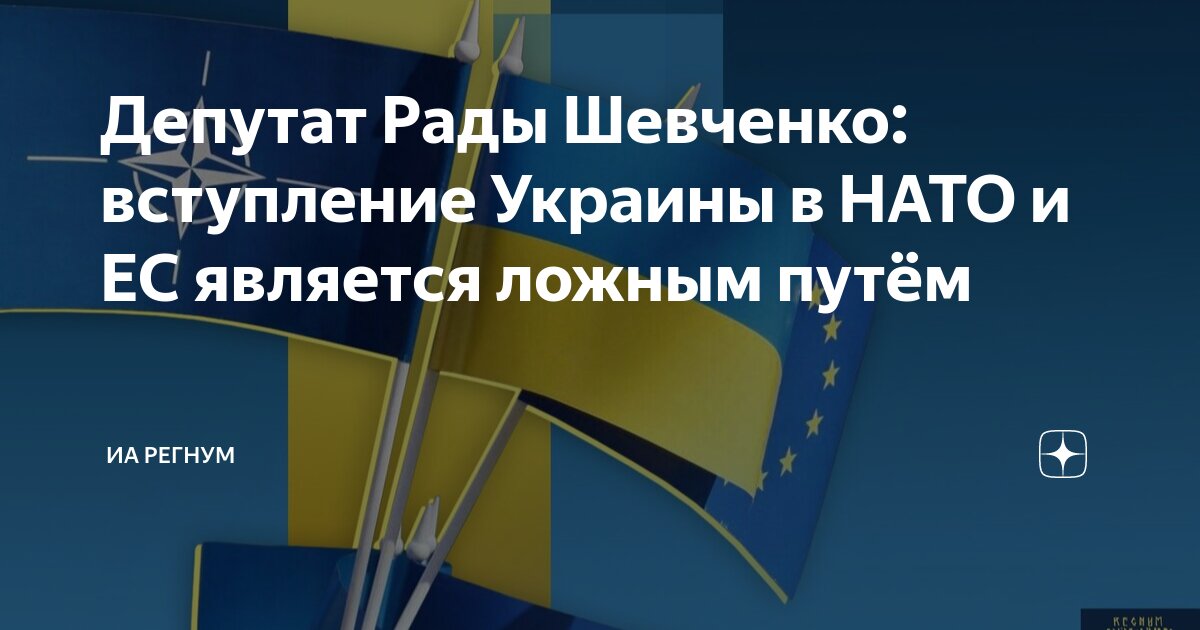 Депутат Рады Шевченко: вступление Украины в НАТО и ЕС является ложным путем