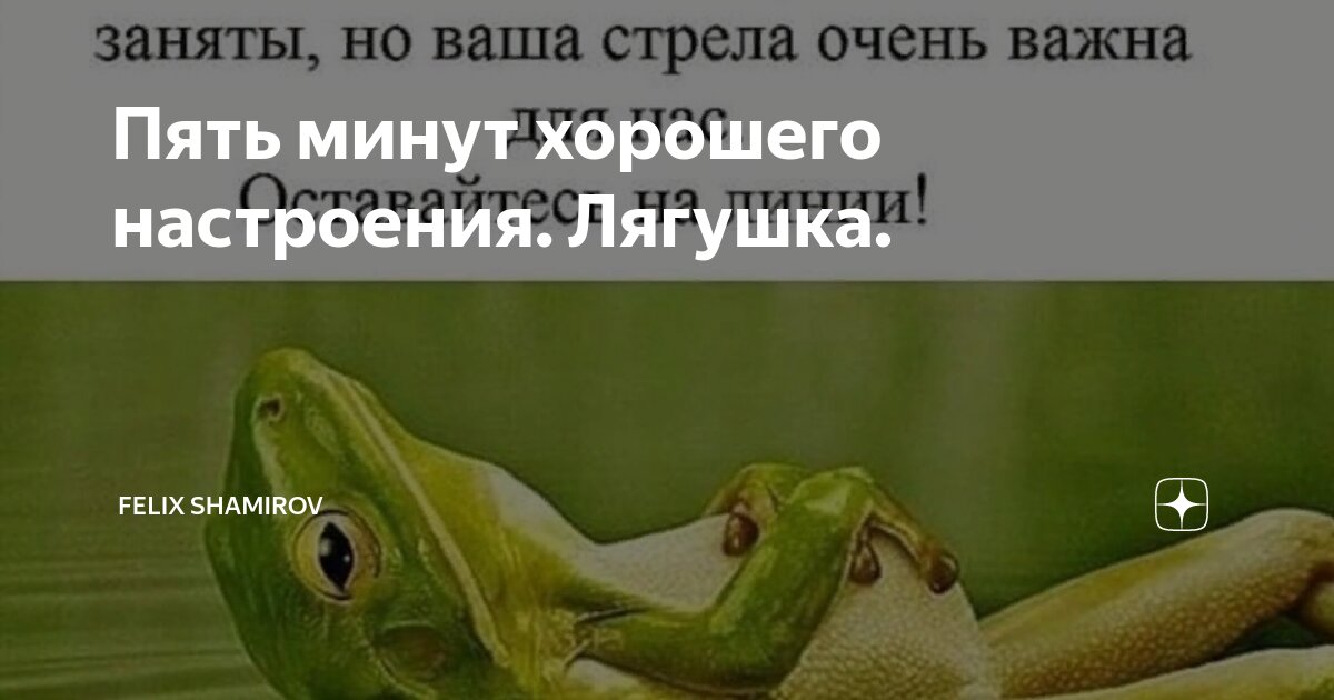 Пять минут хорошего настроения. Лягушка. | Felix Shamirov | Дзен