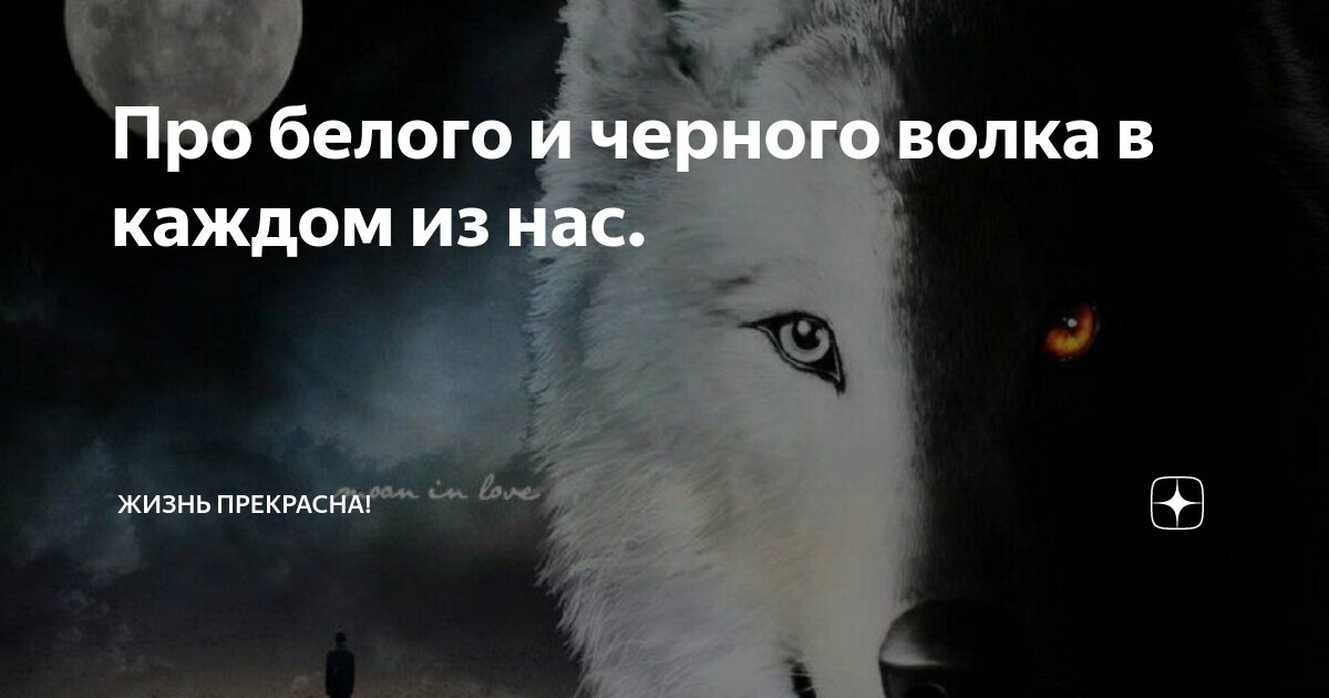 загадка про белку и волка