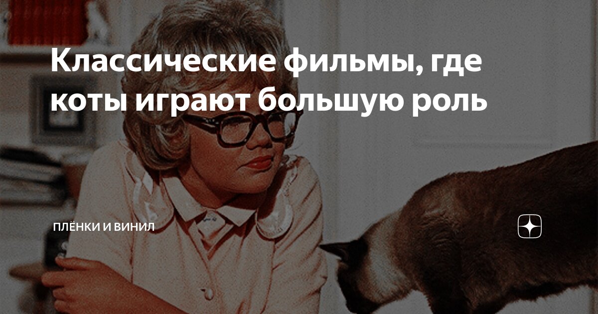 Видео где котика. Видео где котика