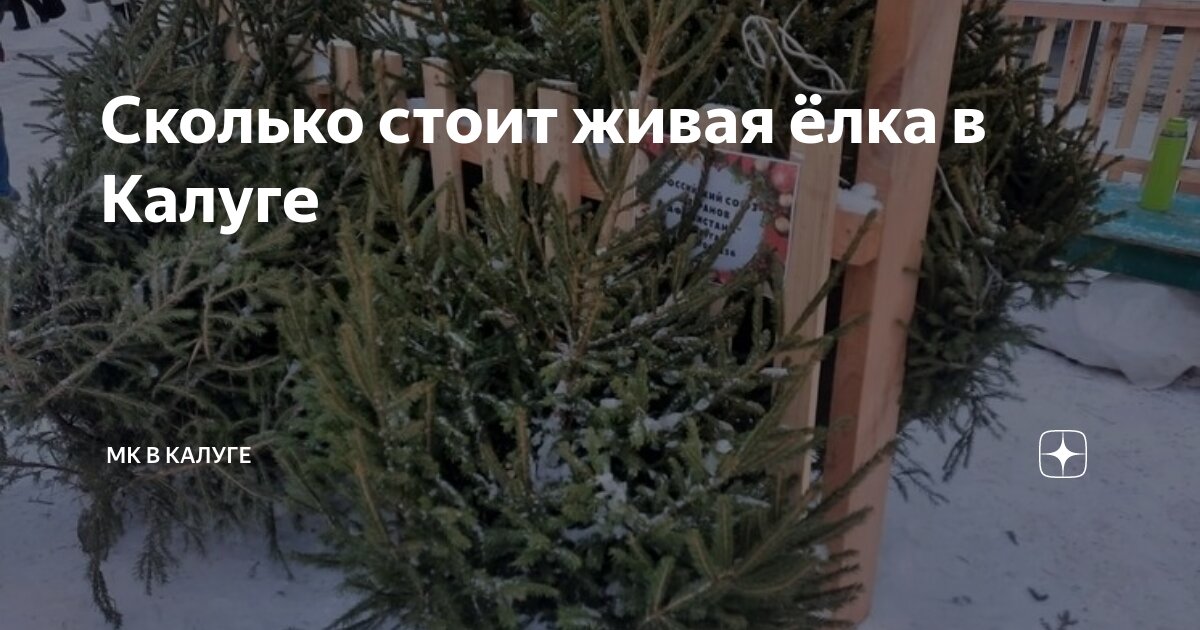 Где Распечатать Фото В Калуге — Картинки фотографии