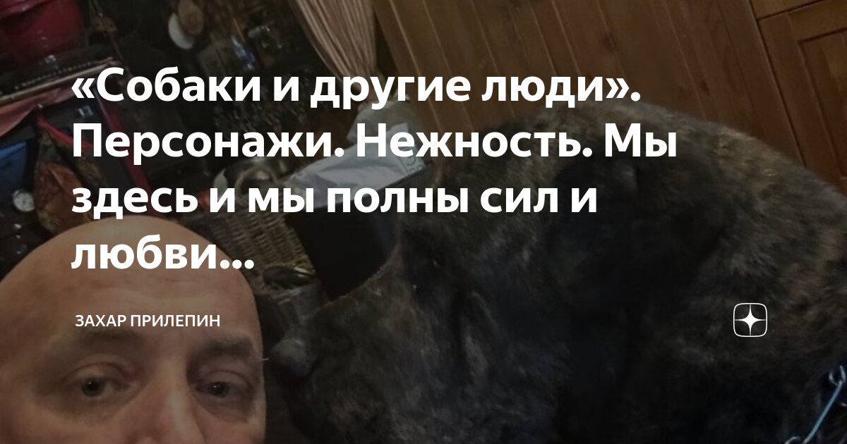«Собаки и другие люди». Персонажи. Нежность. Мы здесь и мы полны сил и ...