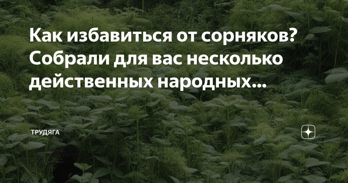 Как избавиться от сна народными средствами