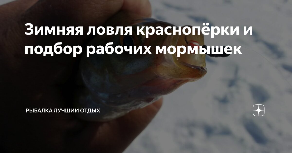 Зимняя ловля краснопёрки и подбор рабочих мормышек | Рыбалка Лучший ...