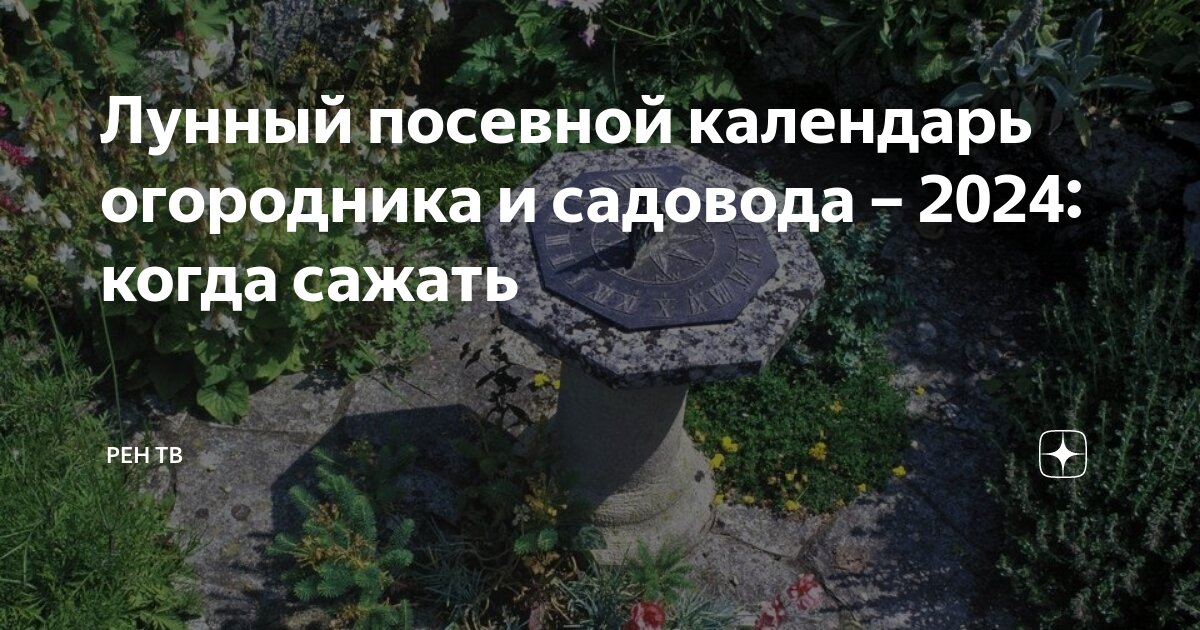 Лунный посевной календарь огородника и садовода – 2024: когда сажать