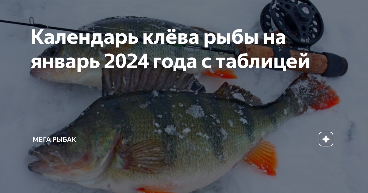 Календарь клёва рыбы на февраль 2024 года Мега Рыбак Дзен