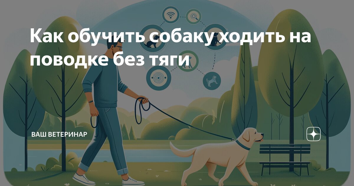 Безопасные элементы. Понятие и основные элементы общественного порядка. Элементы линейной разметки знак. Островок безопасности для пешеходов на проезжей части. Безопасные элементы.