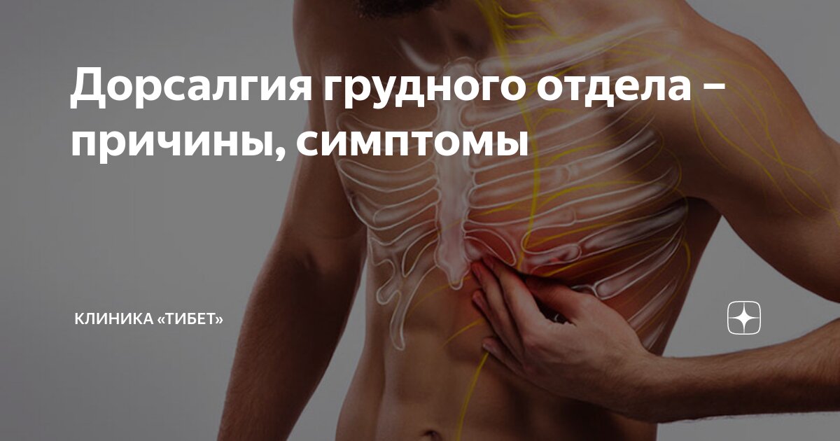 Дорсалгия грудного отдела – причины, симптомы | Клиника «Тибет» | Дзен