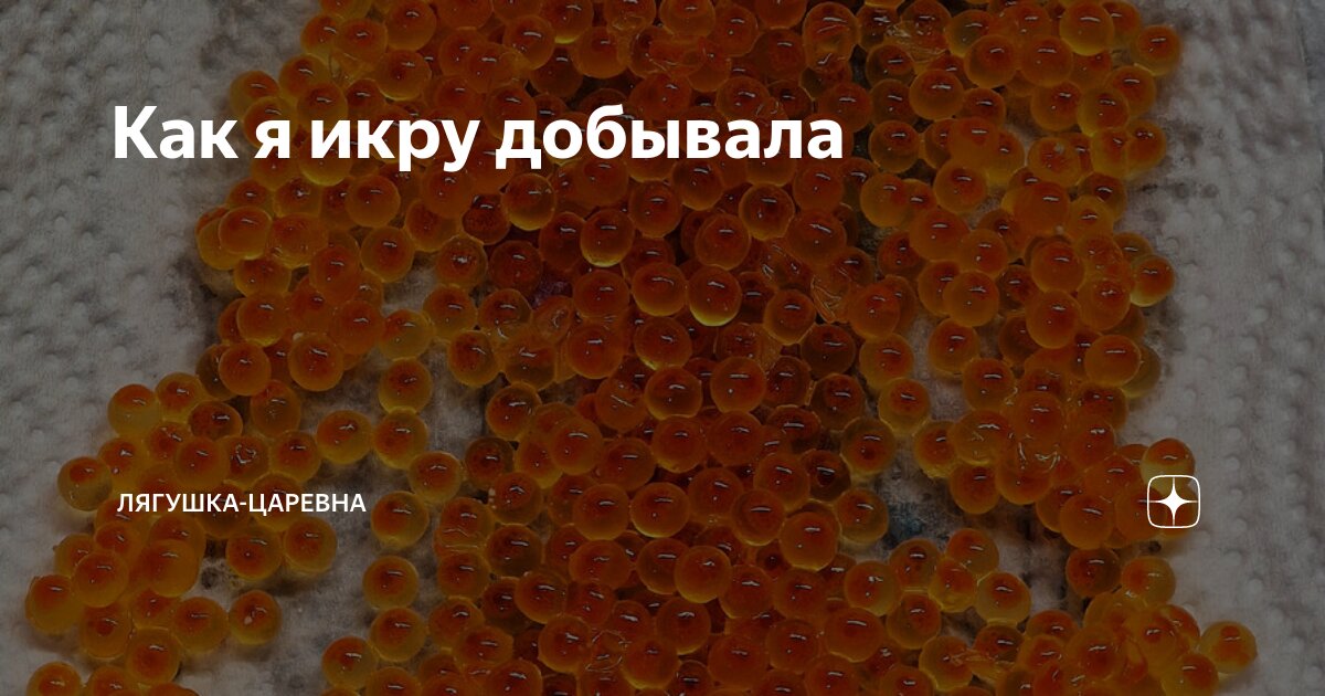 Как я икру добывала | Царевна-Лягушка | Дзен