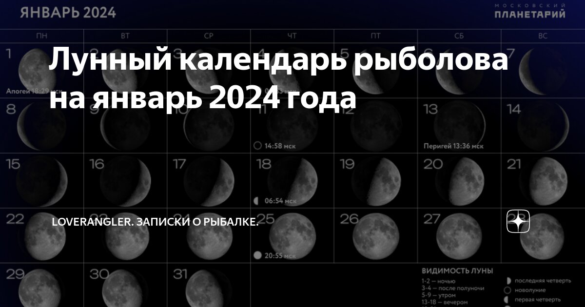 Лунный календарь стрижек на 2024 год