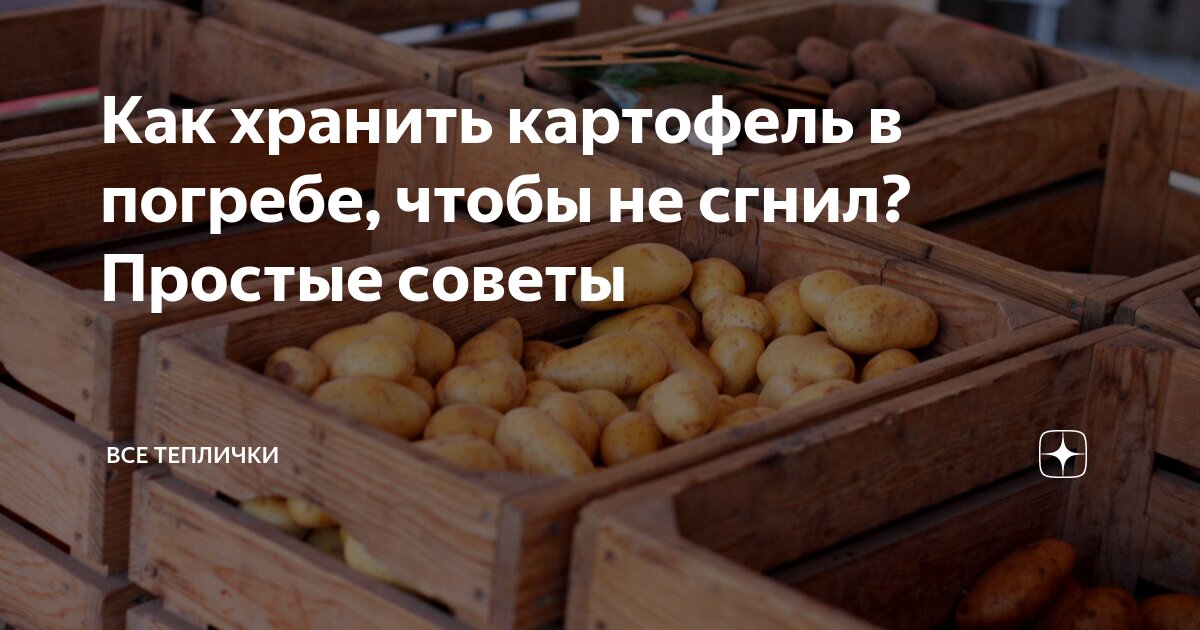 Хранение картофеля осуществляется. Овоще хранилище для картошки. Овощехранилище для картофеля. Способы хранения корнеплодов. Способы хранения картофеля.