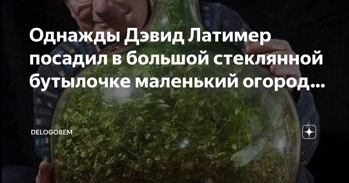Закрой стеклянную. Закрой стеклянную