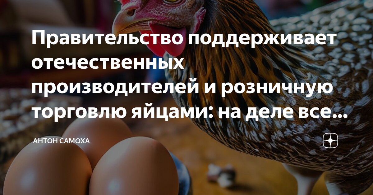 Правительство поддерживает отечественных производителей и розничную ...