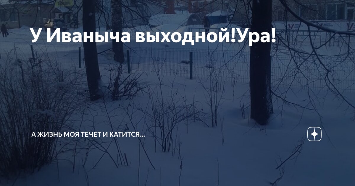У Иваныча выходной!Ура! | А жизнь моя течет и катится... | Дзен