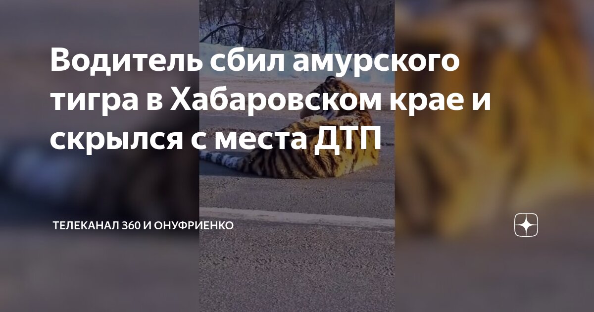 Хабаровский край автомобили