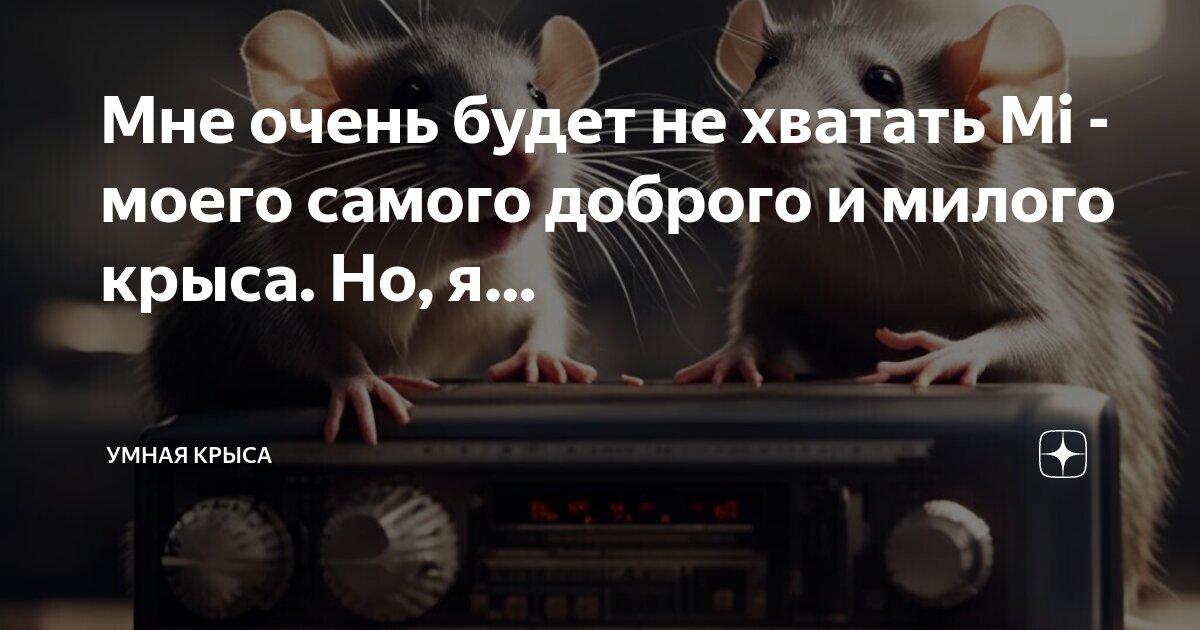 Цитаты из фильмов. Он думает что очень умный. Мудрая женщина и мужчина. Смешные фразы про курение. Умный человек всегда.