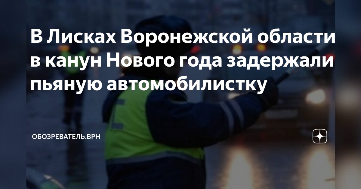 В Лисках Воронежской области в канун Нового года задержали пьяную