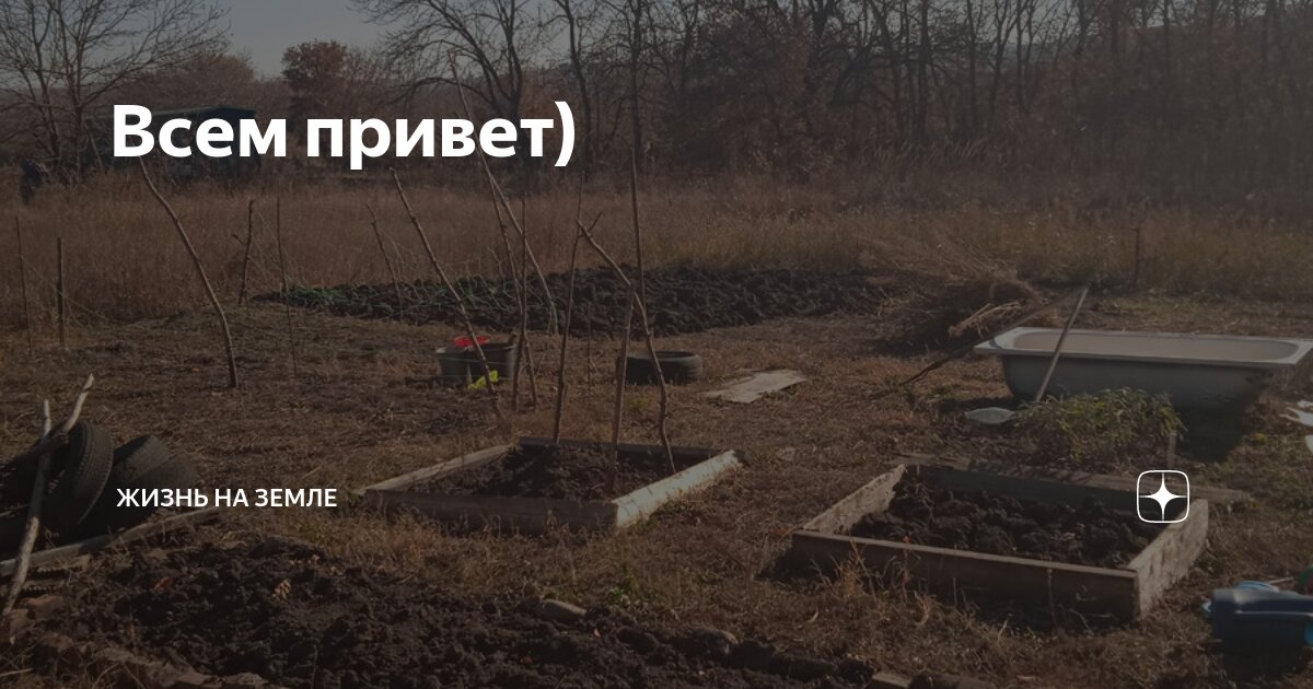 жизнь в деревне привет мир рутуб