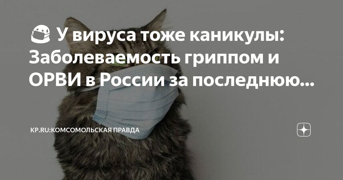 У вируса тоже каникулы: Заболеваемость гриппом и ОРВИ в России за последнюю