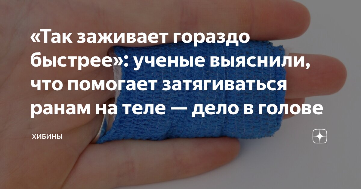 Чтоб быстро зажило. Чтоб быстро зажило